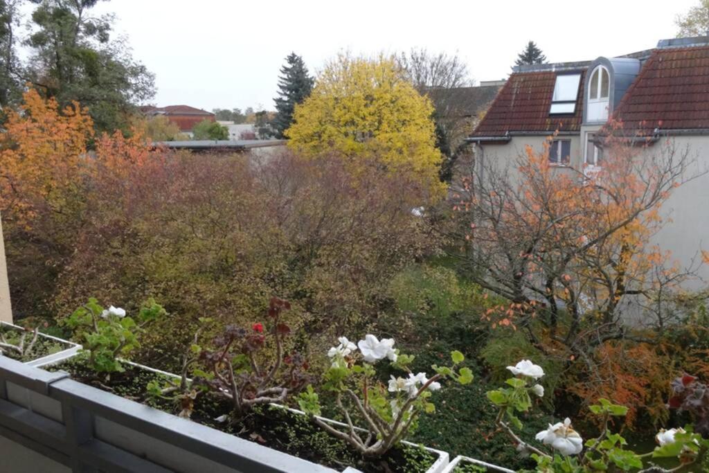 Schoene, Ruhige Wohnung In Berlin-Steglitz المظهر الخارجي الصورة