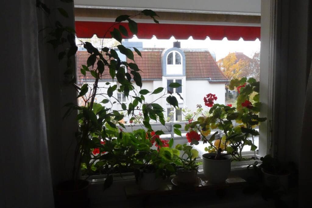 Schoene, Ruhige Wohnung In Berlin-Steglitz المظهر الخارجي الصورة